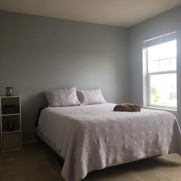 Meet Your Seller - Picture 6 of 6